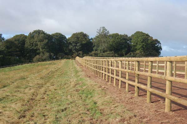 Machined half round post & rail fencing 5' high for larger horses. Electric top wire.