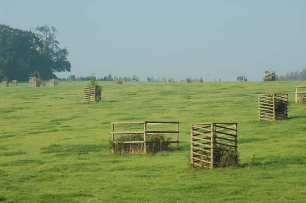 Softwood spiral tree guards picture one.