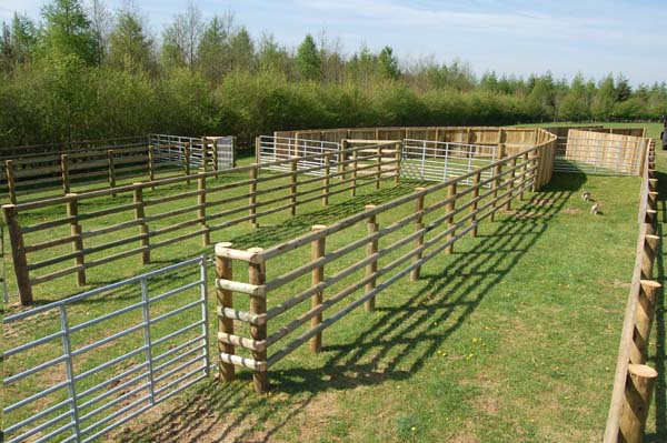 Holding pens, 5 separate compartments.