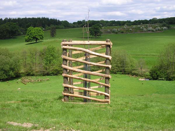 Cleft chestnut spiral tree guards 5' high.