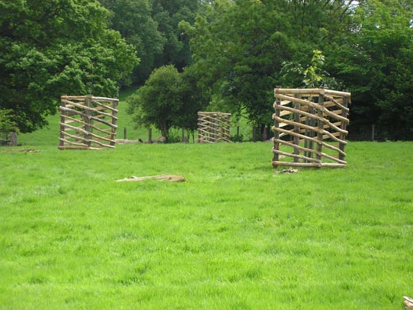 Cleft chestnut spiral tree guards 4' high.