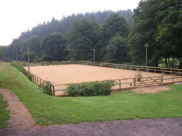 Horse arena fencing and wood chip surface.