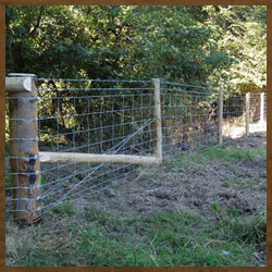 Wooden Fencing