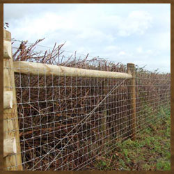 Hi-Tensile Fencing