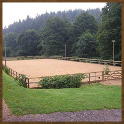 Horse Arena