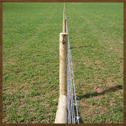 Hi-Tensile Fencing