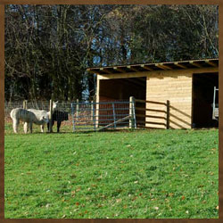 farm stables