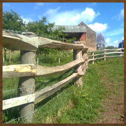 Wooden Fence