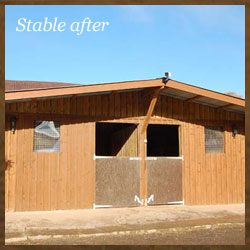 Stable after