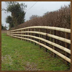 Post & Rail Fence