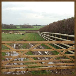 Fencing Gates