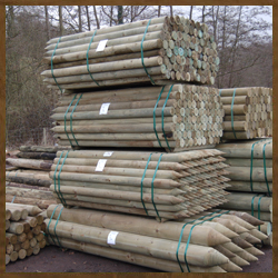 Timber Sourcing - Wooden Logs